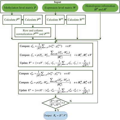 REW-ISA V2: A Biclustering Method Fusing Homologous Information for Analyzing and Mining Epi-Transcriptome Data